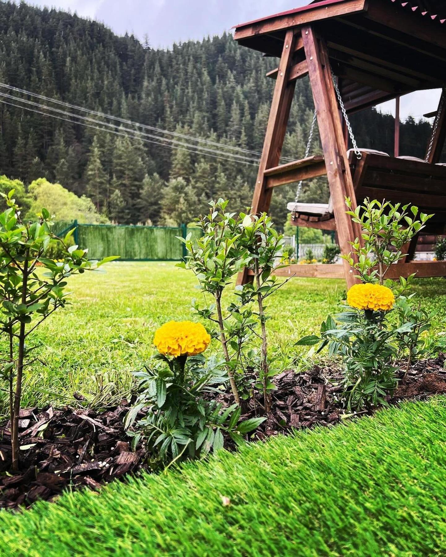 Guest House Recharge Govedartsi Buitenkant foto