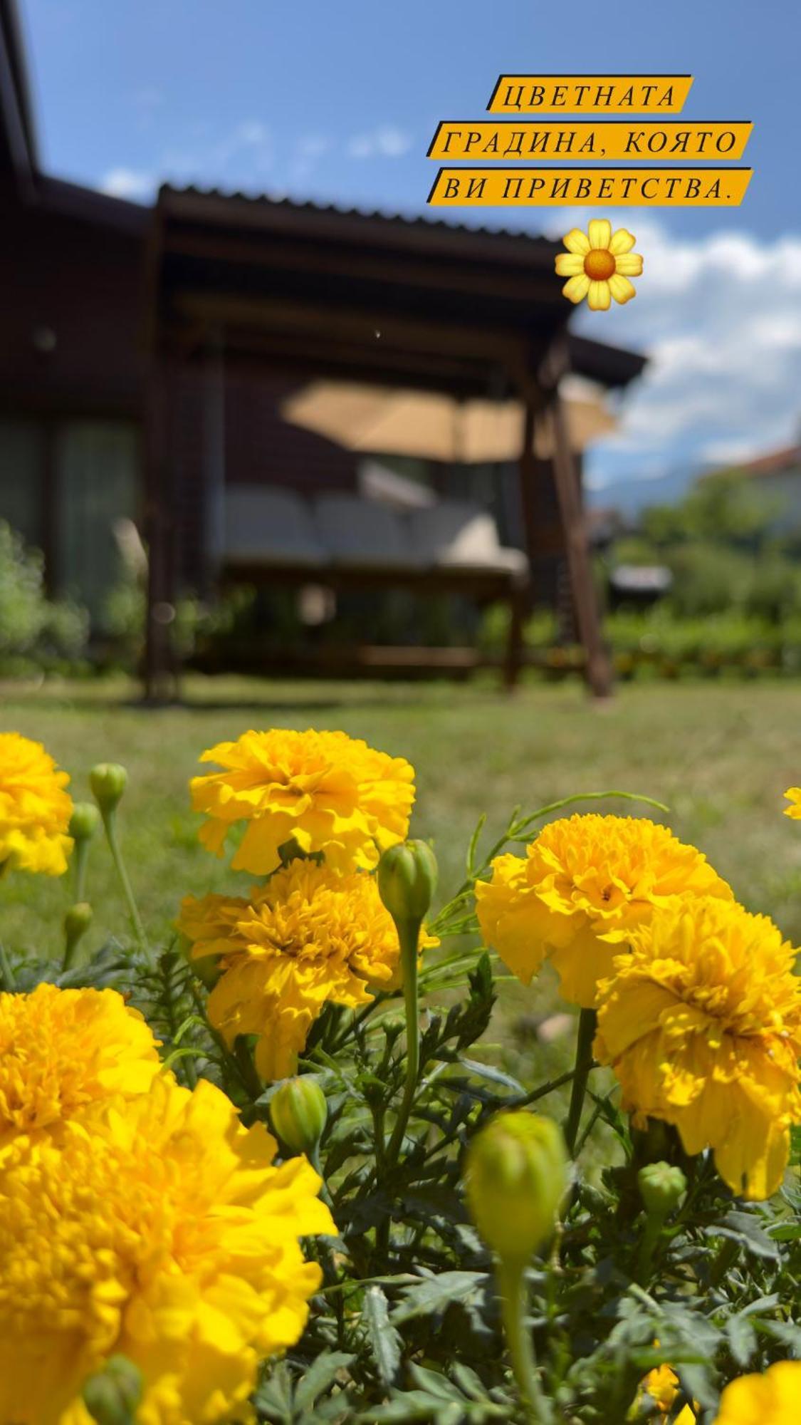 Guest House Recharge Govedartsi Buitenkant foto